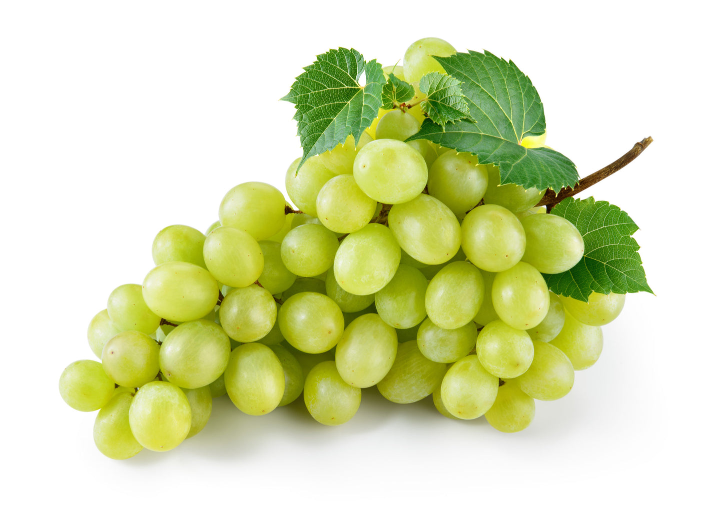 Raisin Blanc sans Pépins 500 gr